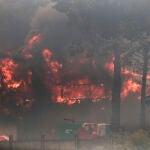 Incendios Forestales en la Region de Viña del Mar