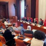 La consellera Anna Simó en la comisión de Educación del Parlament