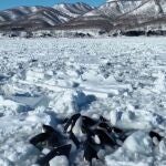 Un grupo de 13 orcas queda atrapado en un gigantesco bloque de hielo 