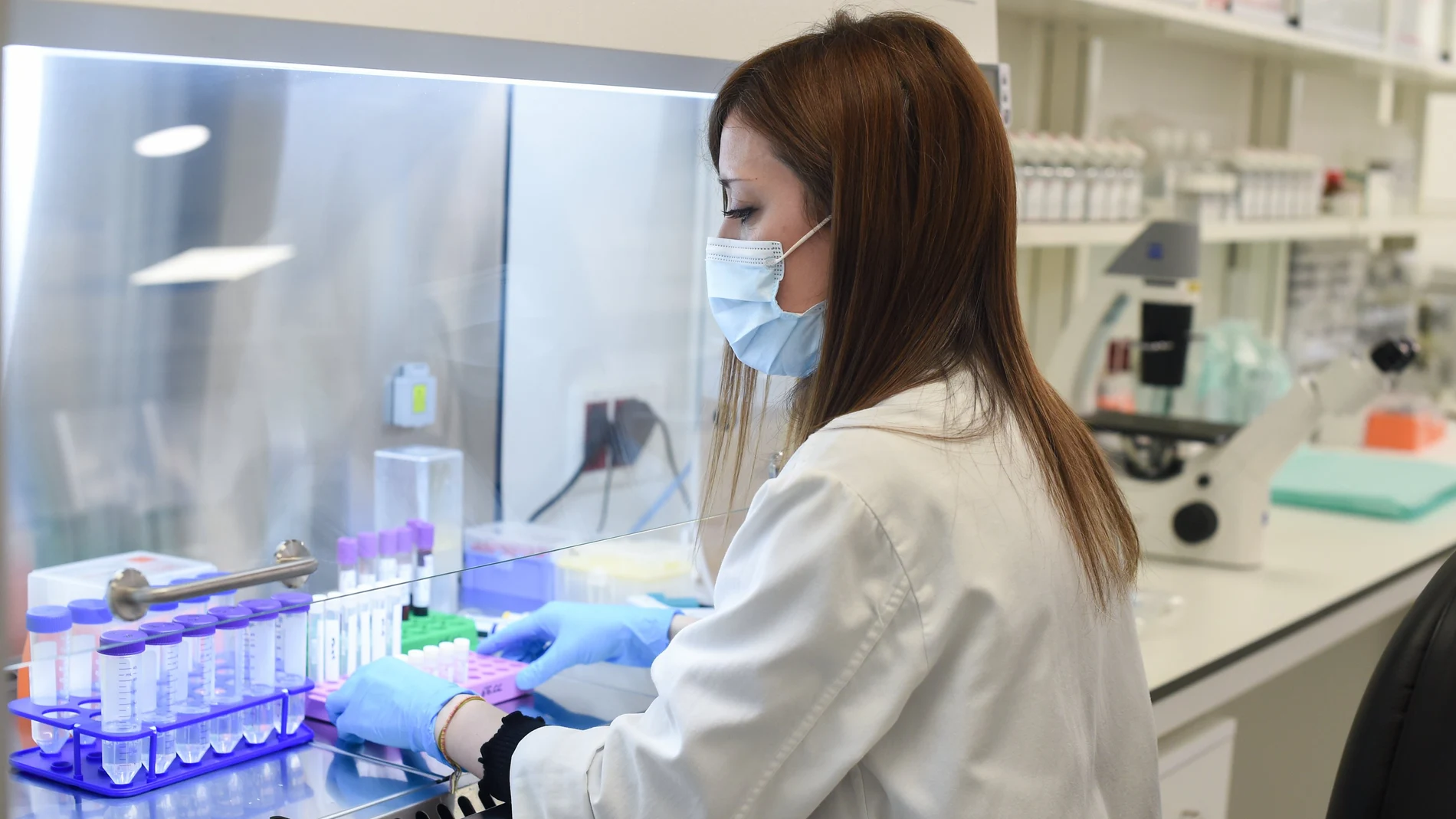 Una investigadora trabaja en el Centro de Oncología Experimental del Instituto de Investigación del Hospital Universitario 12 de Octubre