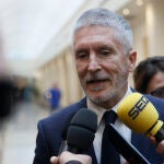 El ministro del Interior, Fernando Grande-Marlaska comparece en el pleno del Senado