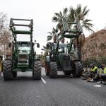 Delegada Valencia reclama que las tractoradas se hagan "de manera regulada" por "grave riesgo" de cortar carreteras