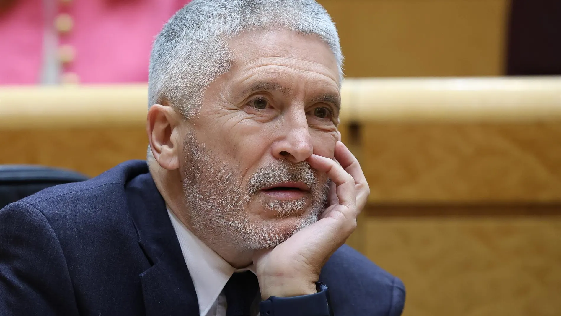 Marlaska niega "efecto llamada" de migrantes y pide evitar "mensajes alarmistas" que "pueden generar odio"