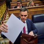 El presidente Pedro Sánchez, en el Congreso