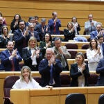 La senda de déficit y deuda pública, a debate en el pleno del Senado