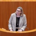 La consejera de Familia, Isabel Blanco, interviene en las Cortes para defender la ley