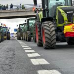 Tractorada de agricultores en A-42 