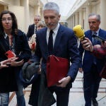 El ministro del Interior, Fernando Grande-Marlaska comparece en el pleno del Senado
