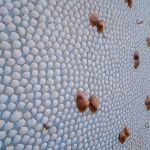 Una casa hecha con 45 millones de conchas