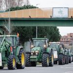 Economía.- Las organizaciones agrarias Asaja, UPA y AGIM-COAG protestarán el próximo miércoles ante Mercamadrid