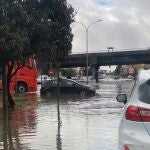 La borraca provocó más de 500 incidencias por toda la comunidad