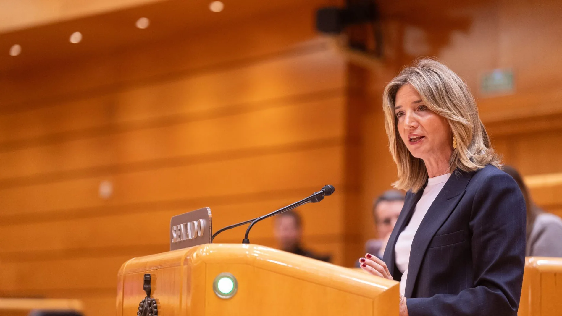 Alicia García interviene en el Senado