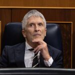 El ministro Grande-Marlaska