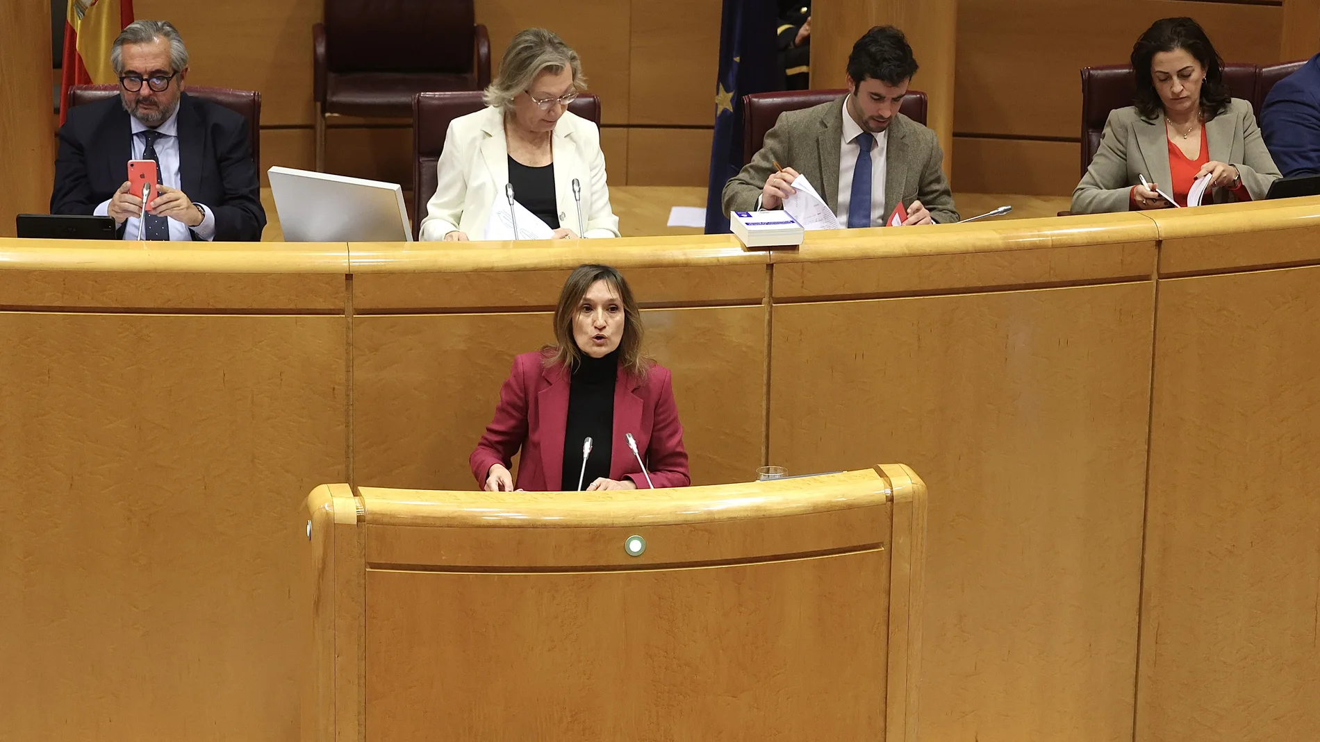 La consejera de Educación, Rocío Lucas, interviene en el Senado