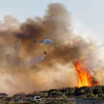Estabilizado el incendio de El Saler (Valencia)
