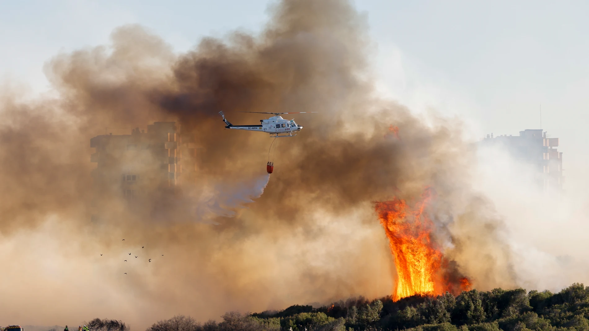 Estabilizado el incendio de El Saler (Valencia)