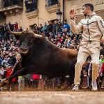Un mozo corta a uno de los astados que soltaron en la capea posterior al encierro