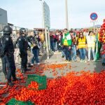  Agricultores arrojan tomates durante la concentración prevista en el puerto de Motril (Granada) 