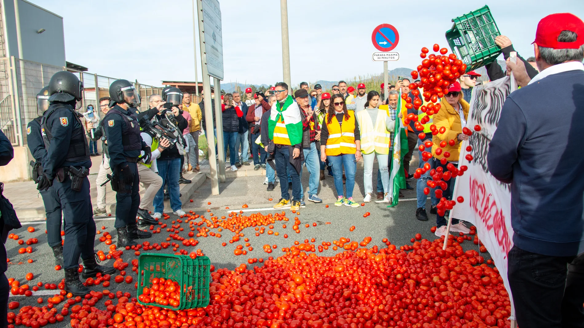 Agricultores arrojan tomates durante la concentración prevista en el puerto de Motril (Granada)