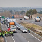 Protestas de agricultores en Talavera de la Reina
