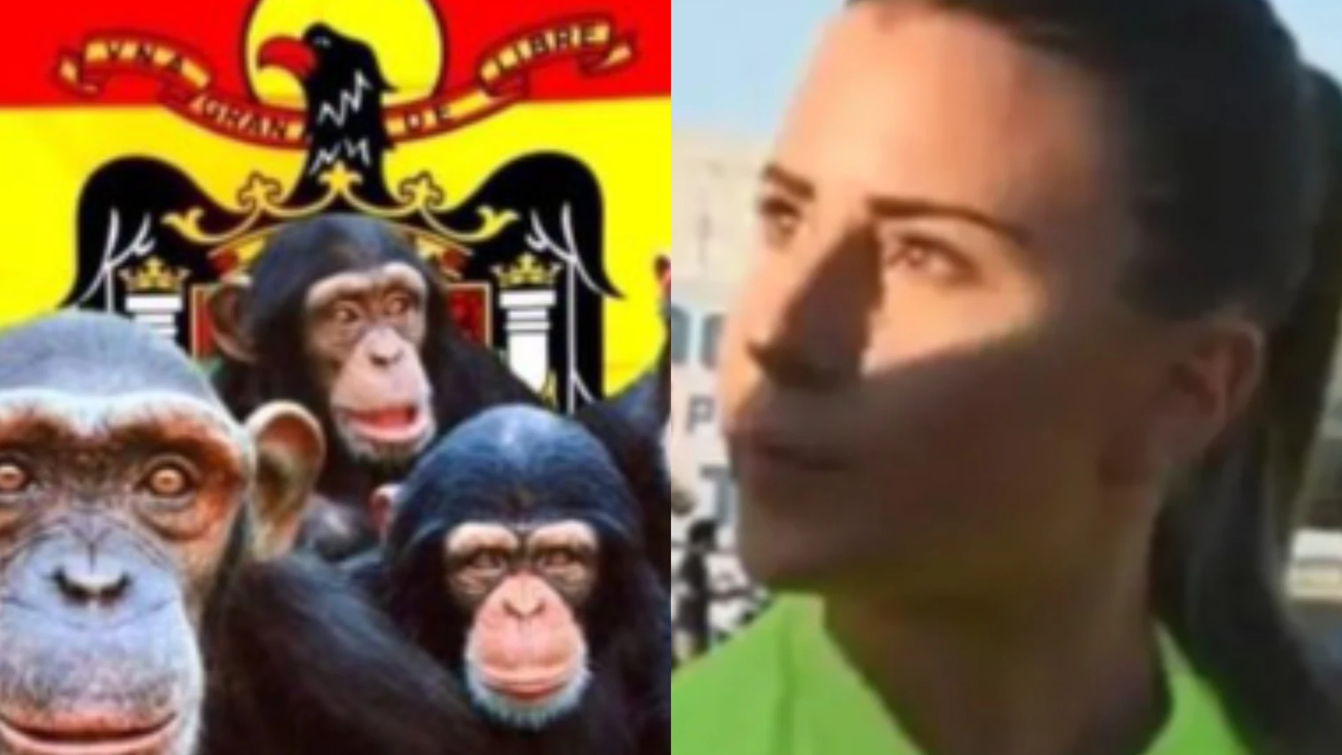 Intolerables ataques a Laura Santos