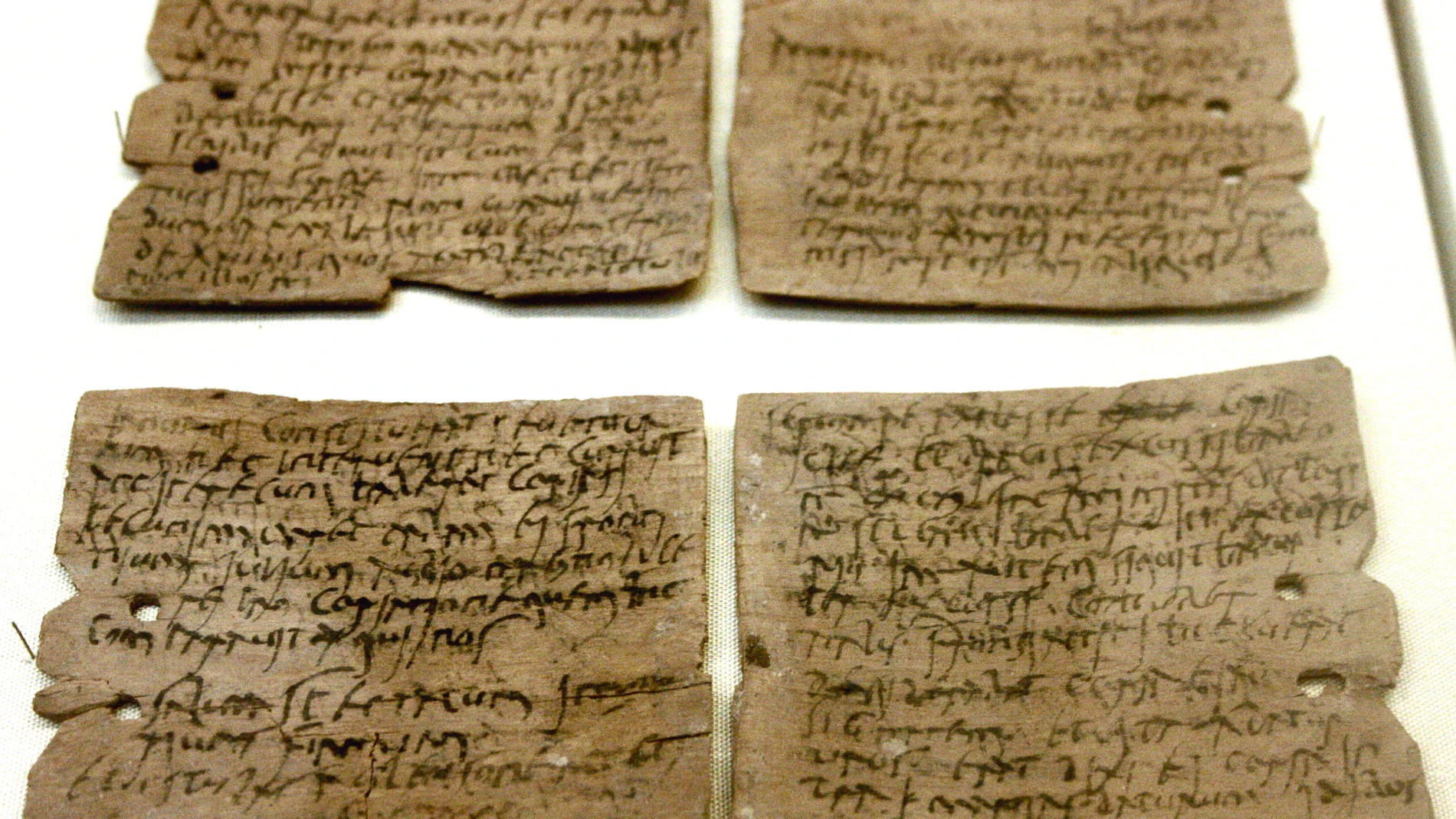 Tablillas de madera de Vindolanda, claves para analizar el uso de insectos por parte del ejército romano