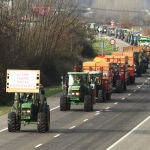 Tractorada convocada por el sector agroalimentario del Bierzo