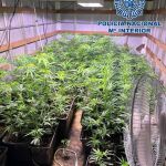 Droga incautada por la Policía Nacional