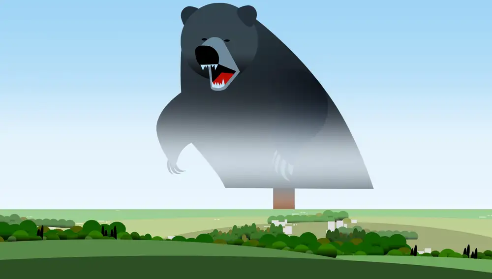¡Que viene el oso!