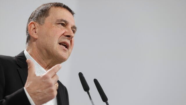Otegi ofrece una rueda de prensa tras la reunión de la Mesa Política de EH Bildu