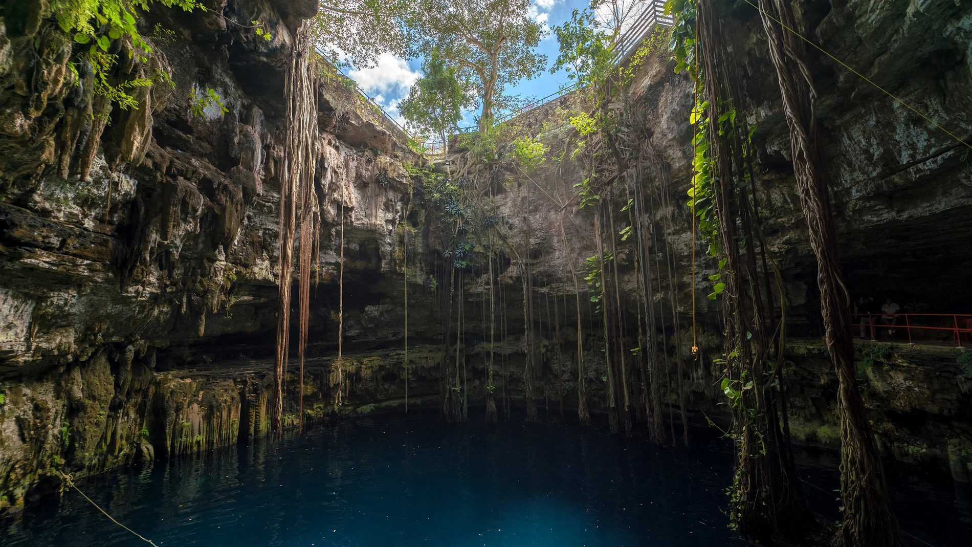 Los cenotes son inherentes a Yucatán, su belleza deja sin palabras