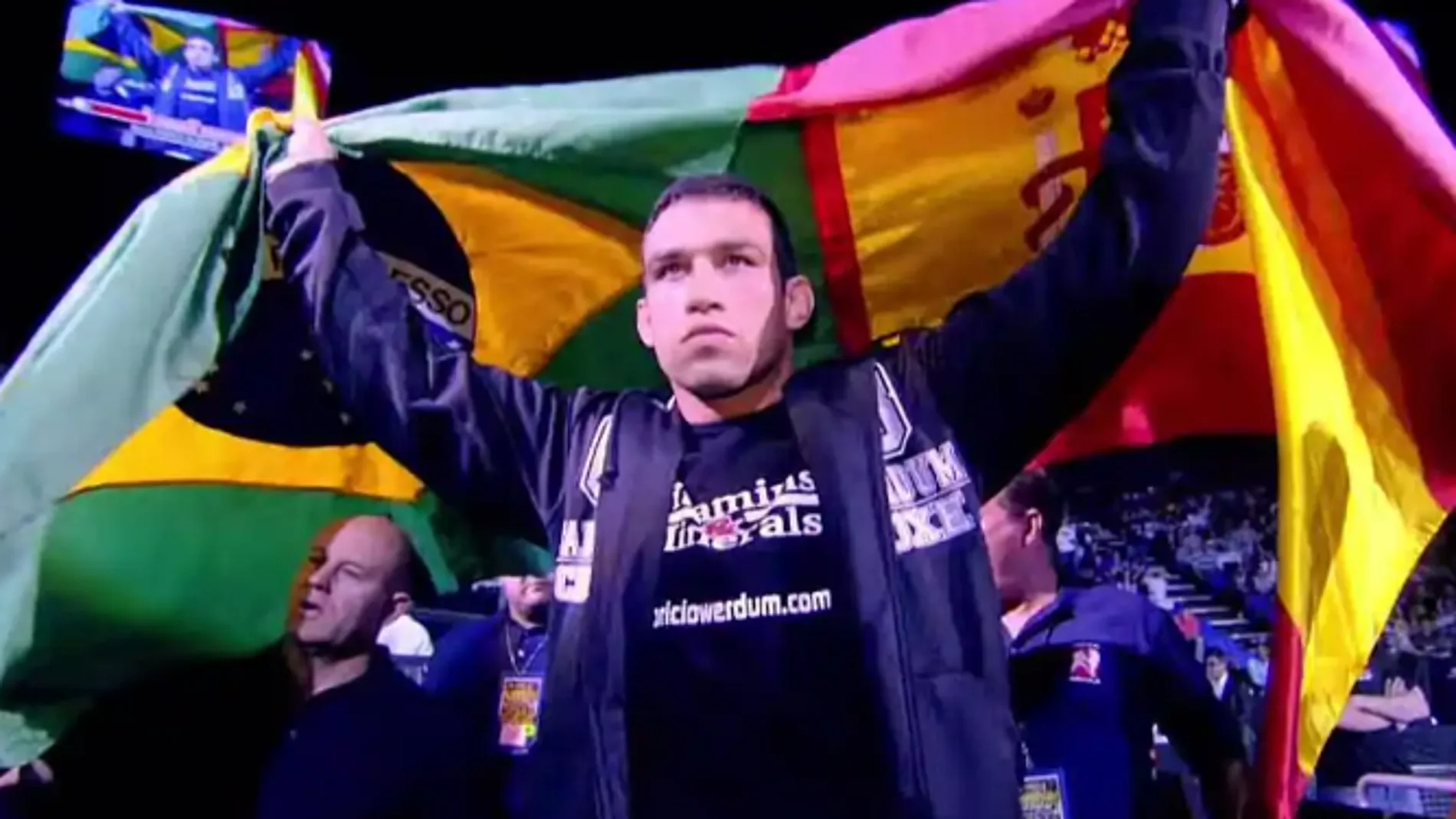 Fabricio Werdum