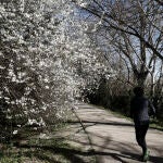 La Aemet avisa de la llegada de frío polar y nieve en la mitad norte incluso a 700 metros