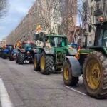 El campo castellano y leonés se hace oír en Madrid