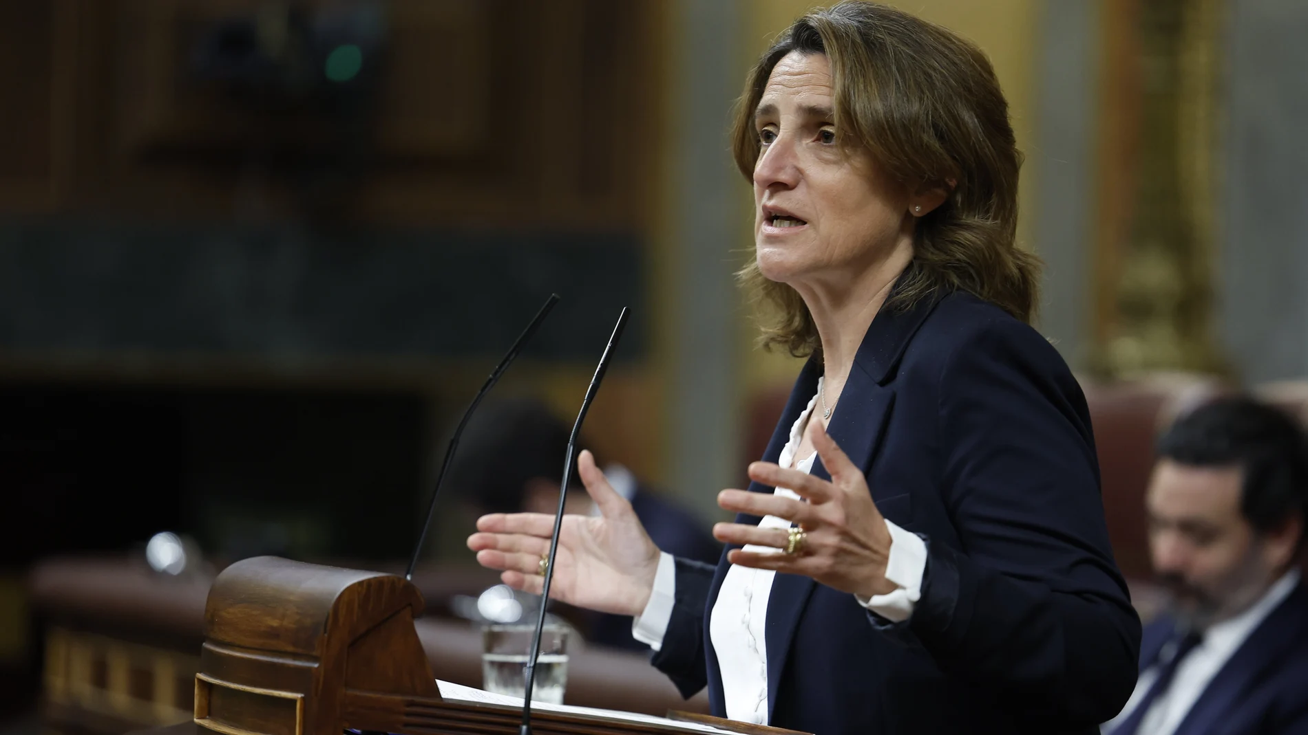 MADRID, 21/02/2024.- La vicepresidenta tercera y ministra para la Transición Ecológica y el Reto Demográfico, Teresa Ribera, interviene durante el pleno, este miércoles, en el Congreso de los Diputados. EFE/ Chema Moya