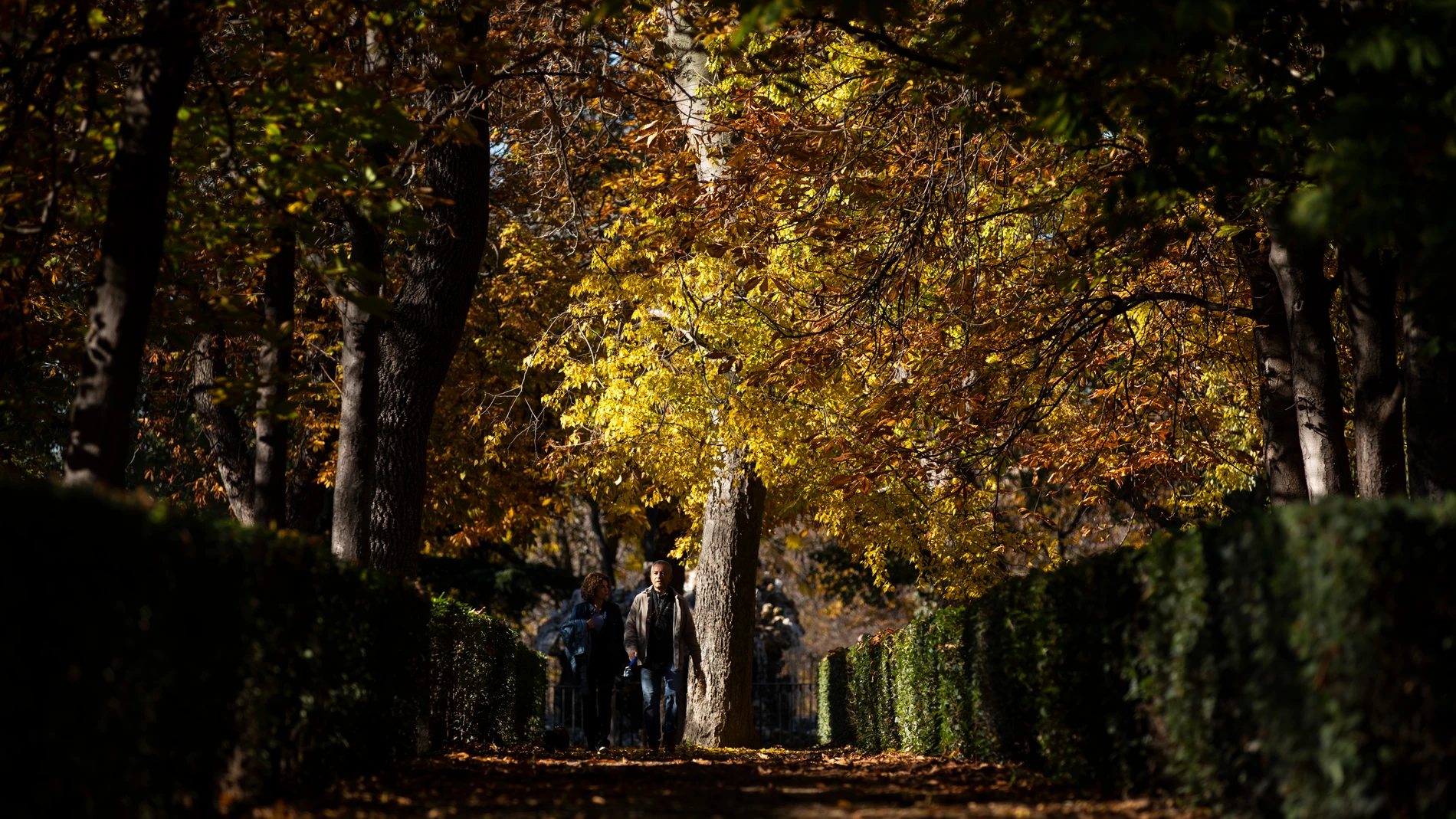 Otoño en el Parque del Retiro.