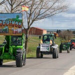Palacios de Goda acoge la undécima edición de "Palagüinos"