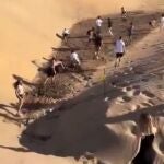Decenas de jóvenes buscan 1.000 euros escondidos en las Dunas de Maspalomas