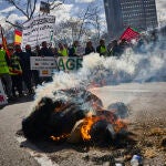 Agricultores y ganaderos de varios puntos de España marchan hacia el número 46 del Paseo de la Castellana, donde se ubica la Oficina en España del Parlamento Europeo, en Madrid este lunes. 