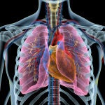 El humo del tabaco contiene más de 7,000 sustancias químicas, de las cuales al menos 250 son nocivas y más de 50 son cancerígenas