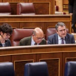 Aitor Esteban del PNV en el Congreso de los Diputados. David Jar 
