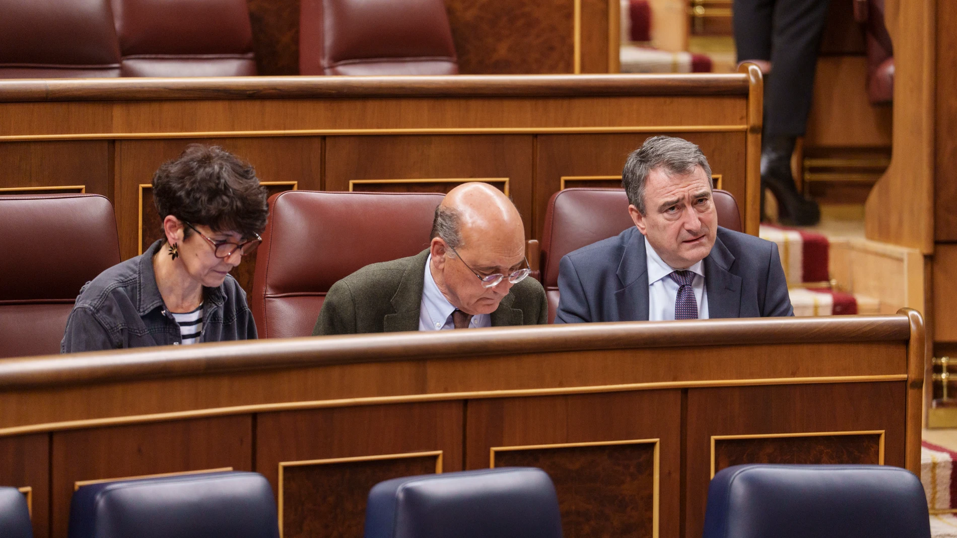 Aitor Esteban del PNV en el Congreso de los Diputados