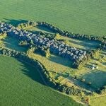 Agricultor cultiva un bosque con forma de guitarra 