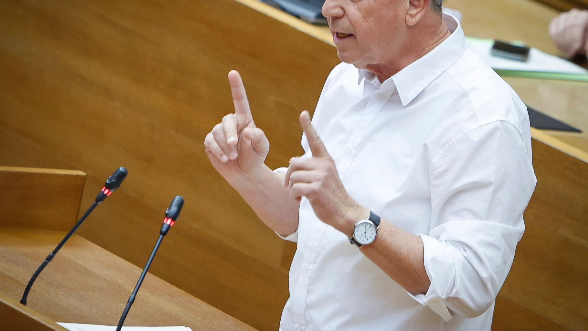 Joan Baldoví, portavoz de Compromís
