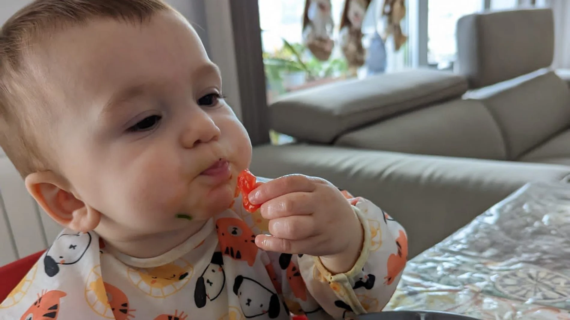 El bebé puede comer sentado en la mesa con el resto de la familia