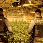 La Guardia Civil interviene una plantación de marihuana