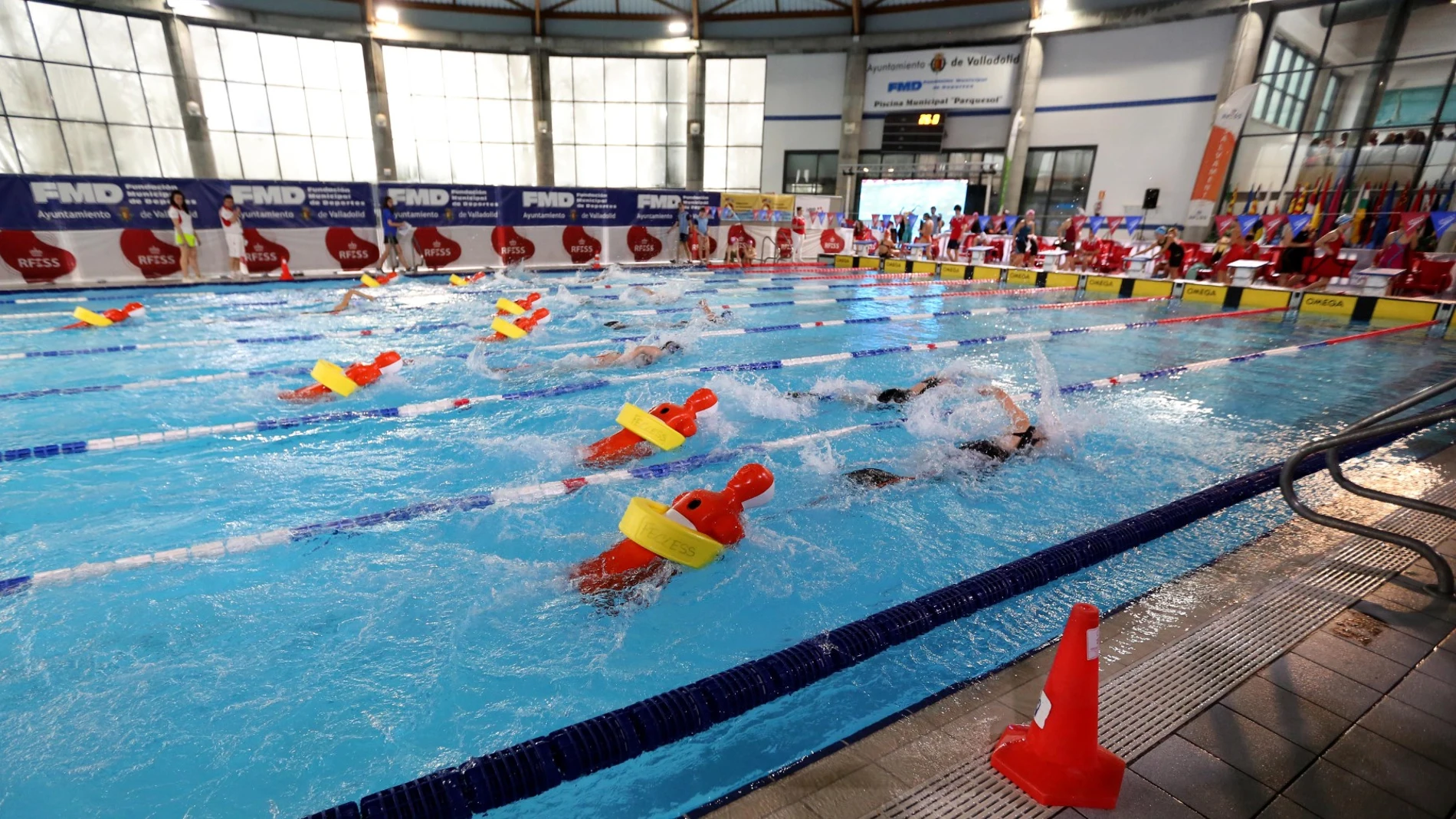 Un alto número de declaraciones corresponde a las Federaciones de Salvamento y Socorrismo