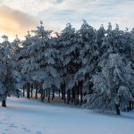 La Aemet mantiene el aviso amarillo este domingo en la Comunidad de Madrid por nieve en la Sierra