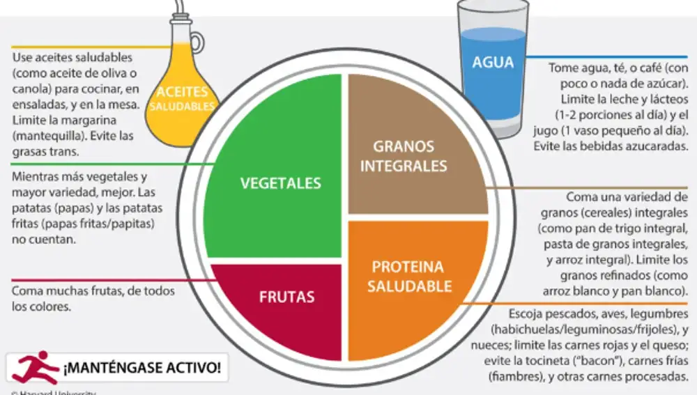 Distribución del Plato para Comer Saludable según Harvard