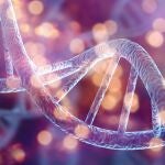 ¿Qué manda más, nuestra personalidad o nuestros genes?